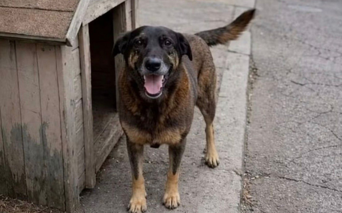 Jovem ativista lidera movimento pela proteção animal em frente a um prédio governamental.