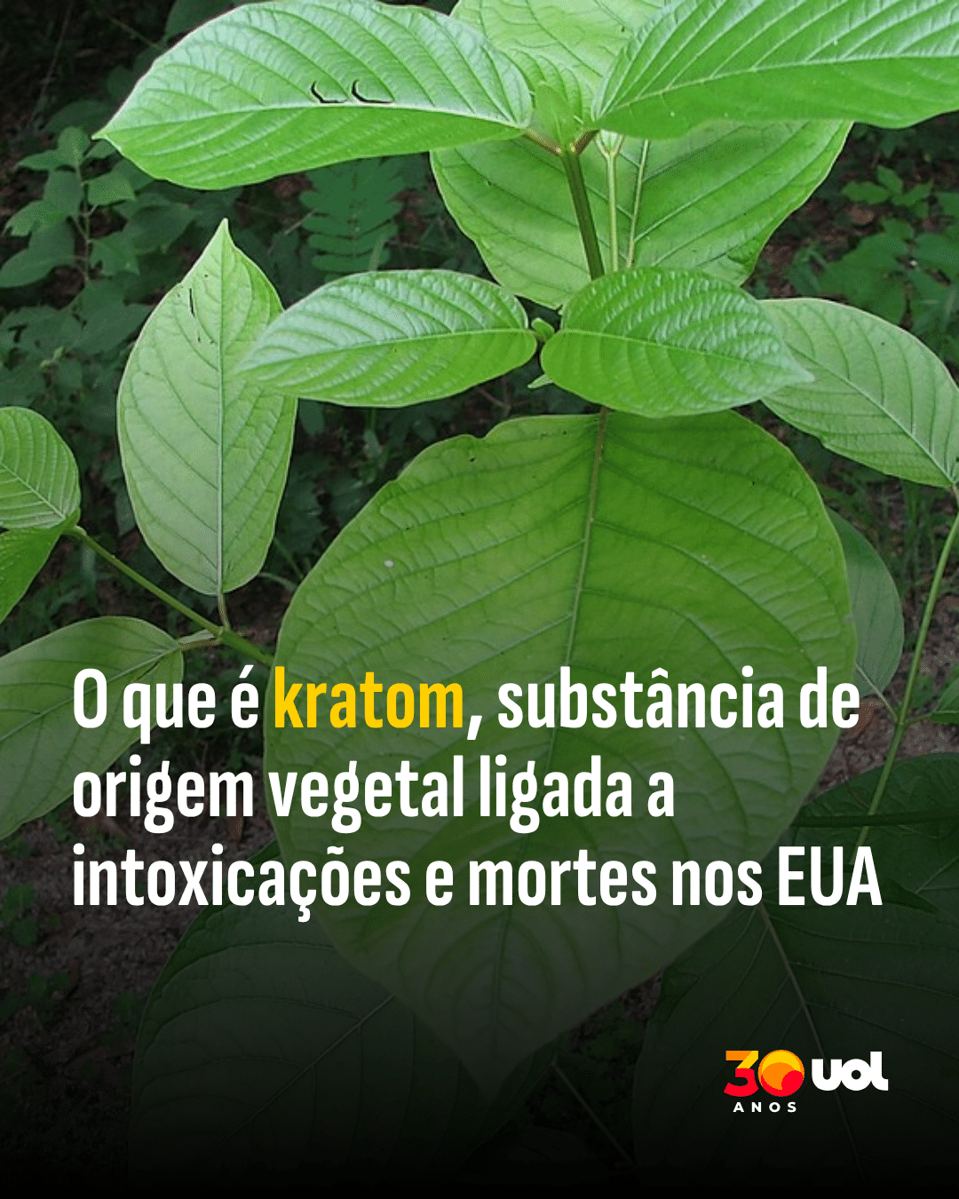 Jovem Endrick celebra vitória do Lyon sobre PSG em jogo crucial antes da Copa.