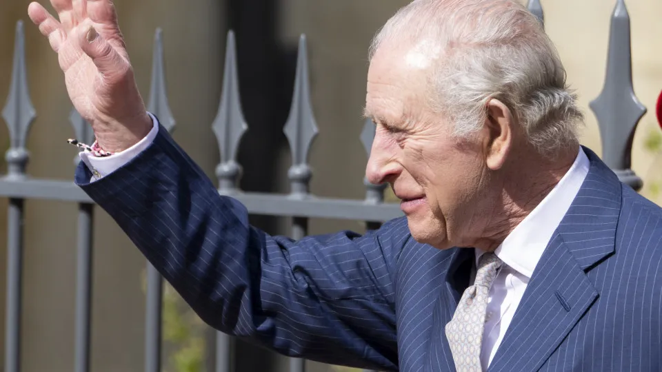 Tigre invade plateia após queda de proteção em circo na Rússia.