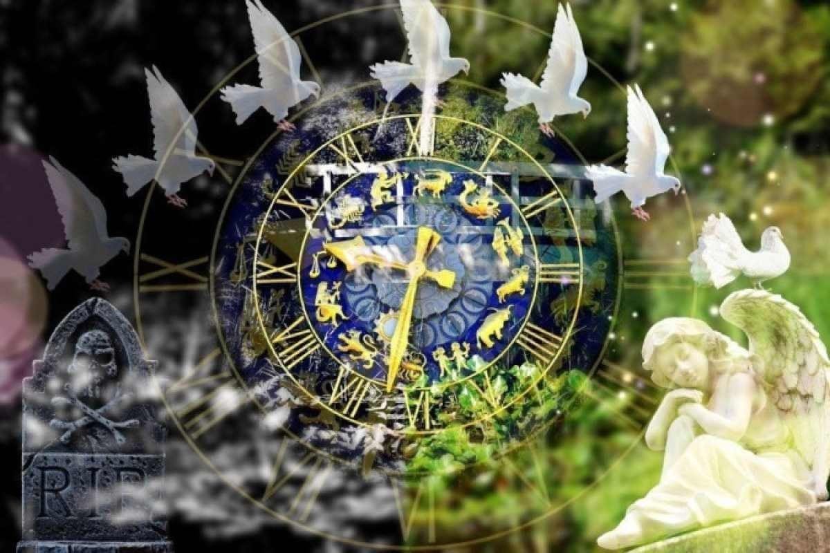 Jornalista Catarina Alencastro lida com a crise climática em sua estreia literária.