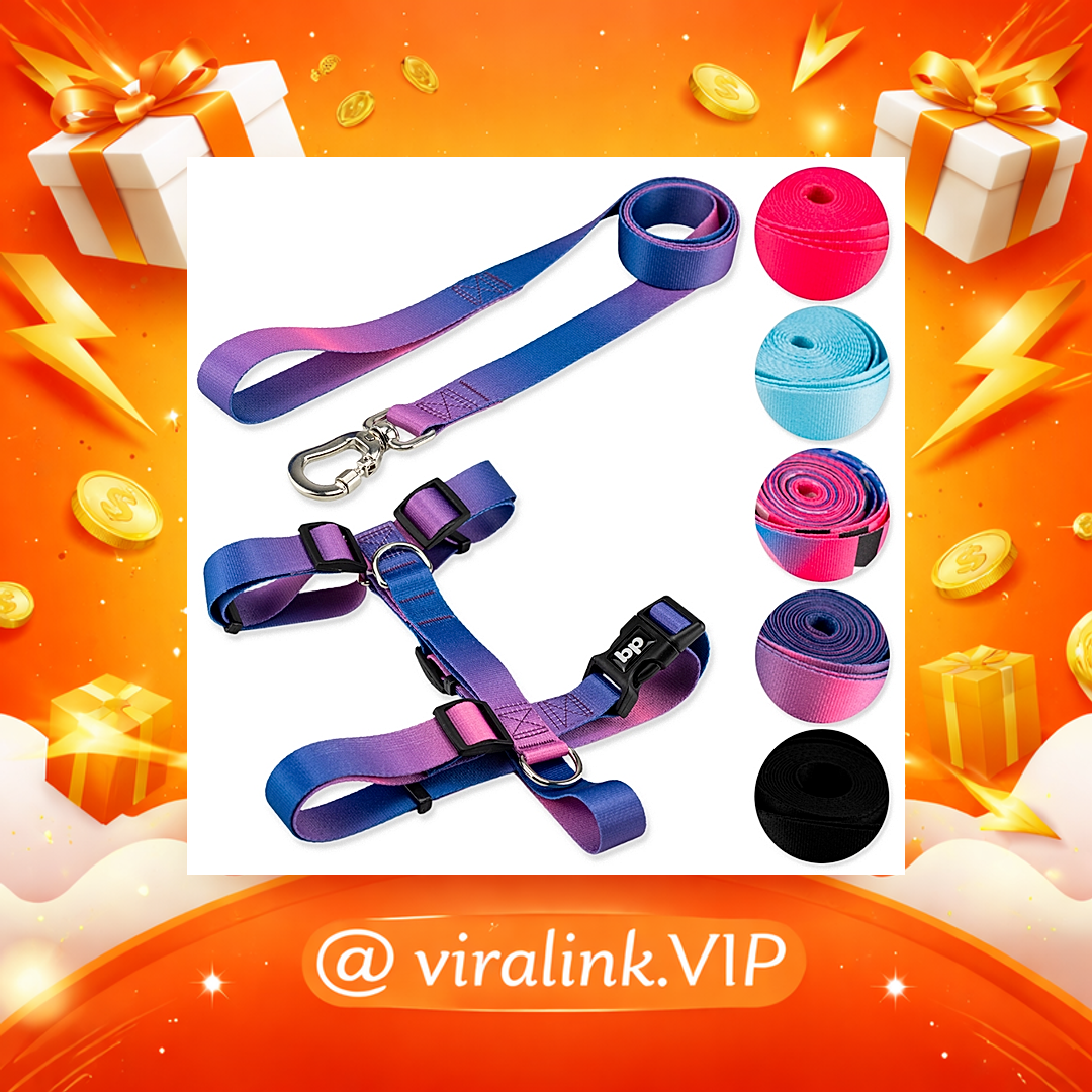 Coleira Peitoral com Guia para Cachorro Cães Regulável Varias Estampas Basic Pet